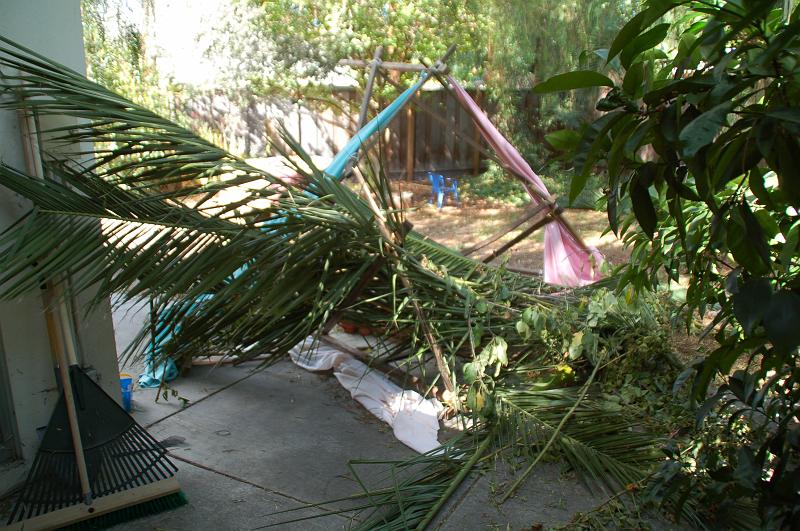 DSC_4221 - 2009-10-04 at 13-14-33.jpg - The sukkah caught a ~40 mph gust of wind. The pink and green-ish cloths should be hanging down, as two of the three walls...